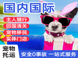 合肥空运国际宠物托运 【国